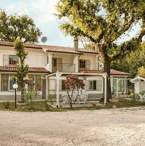 Casa Ferruccio - Pesaro Villa Exterior photo