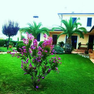 Elisa House Bed and Breakfast Foligno Exterior photo