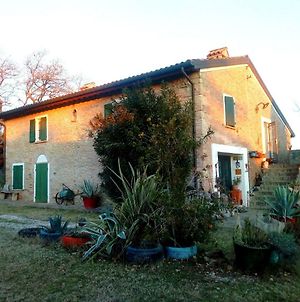 la cana dolce Villa Bertinoro Exterior photo