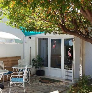 Le Flamant Rose Bed and Breakfast Arles Exterior photo