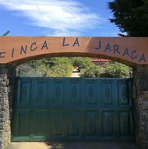 Finca La Jaraca Villa Tacoronte Exterior photo