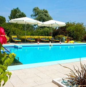 Ca' Leone - Regina Vittoria - Apartment In Villa With Pool Mira Exterior photo