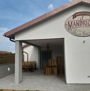 il Mandriolo Villa Marina Di Grosseto Exterior photo