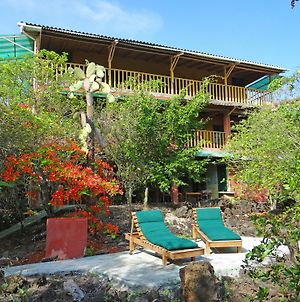 Galapagos Chalet Bed and Breakfast Puerto Ayora  Exterior photo
