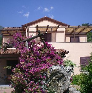 Villa Manati Maratea Exterior photo