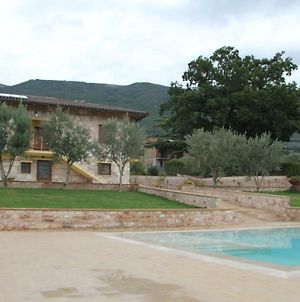 Le querce di mamre Bed and Breakfast Passaggio di Assisi Exterior photo