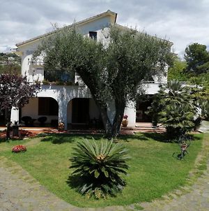 Villa Livia Villammare Exterior photo
