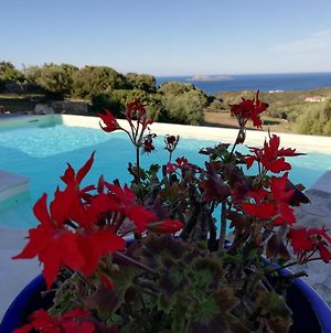 La Sima villa con piscina vista mare San Pantaleo Sardegna Exterior photo