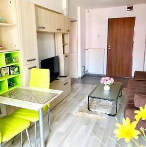 Emma accommodation - clean&comfortable apartment Iasi Exterior photo