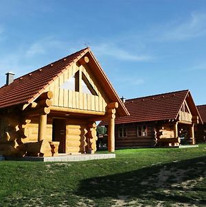 Na Samote Ve Srubu Villa Plzeň Exterior photo