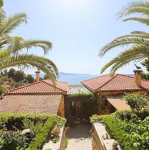 Absolute vacation luxury Villa Stratos near sea majestic view Achladies  Exterior photo