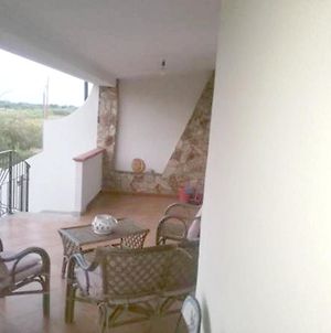 2 Bedrooms Appartement At Lotzorai 800 M Away From The Beach With Enclosed Garden And Wifi Exterior photo