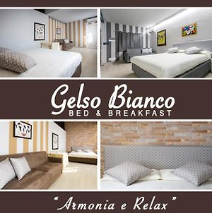 Gelso Bianco Cogliate Bed and Breakfast Exterior photo
