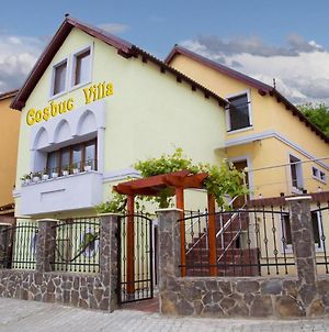Cosbuc Residence&Villa Sighişoara Exterior photo
