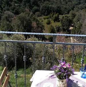 New!Stellaria,appartamento in montagna panorama stupendo-Sardegna) Seùlo Exterior photo